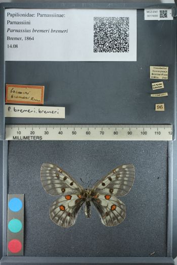 Media type: image;   Entomology 174300
